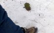 Raquetas de nieve de ikea man´s pobre