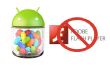 Flash en Jelly Bean Android