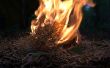 Hacer un fuego con el pedernal y el acero método (manos sobre Bushcraft)