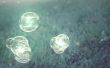 Burbujas que brillan intensamente! Arte de verano de la diversión
