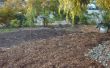 Sequía tolerante frente patio - conversión de césped al suelo