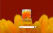 Hacer una pantalla de inicio de sesi&oacute;n personalizado en Windows 7