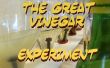 El experimento del vinagre gran