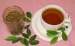 Cosecha, carne asada y preparar el té verde con un arbusto común