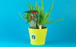 Personalización de planta sed DIY