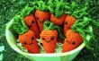 Zanahoria feliz
