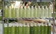 Un biorreactor de algas de las botellas de agua recicladas