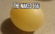 El huevo desnudo: Hacer un huevo ordinario tambaleante, animoso y blando utilizando el método científico! 