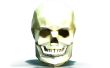 DIY 3D máscara de cráneo papel
