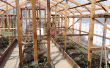 Efecto invernadero - guía para construir un invernadero de madera en el hogar -