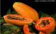Uso de papaya como un multiusos remidies caseros