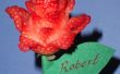 Rosa flor - un San Valentín frutal (bono Rosebud versión Plus)