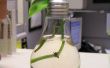 Reutilización de bombillas: como macetas o terrarios mini