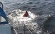Rescatar a alguien caído por la borda de un barco