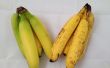 Mantener plátanos fresco más de largo (rodajas, demasiado!) 