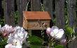 Reciclado madera abeja caja