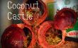 Cómo echar a perder tus cangrejos ermitaños: coco Castillo