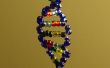 La doble hélice-modelo de ADN del grano de cristal V2.0