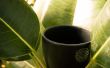 Partido del té en un palillo (como anfitrión de una fiesta de té en un árbol)