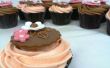 Casera frambuesa y vainilla Cupcakes