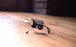 Robot escarabajo mecánico. V1
