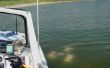 Semiautónoma robot sumergible para investigación submarina