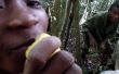 Remedio de la selva malgache: Multiuso limón