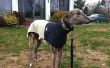 Capa de Greyhound desde antiguo chaleco de paño grueso y suave
