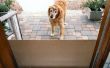Desplazamiento perro puerta protege de arañazos