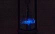 La fuente de luz: un reloj de arena bioluminiscente