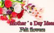 DIY día de la madre Ideas regalo, cómo hacer flores de fieltro, color de rosa, lirios, claveles y blosoms almendra