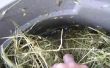Compost húmedo utilizando levadura o fermentación láctica (era sostenible Slug cerveza)