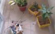 Arduino automático riego sistema para las plantas por aspersión