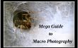 Mega guía de fotografía de Macro