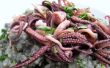 Risotto de tinta de calamar con calamares frito