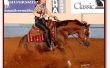 C&oacute;mo entrenar tu caballo para hacer un Stop de frenar a