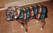 Suéter de perro feo