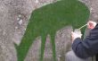 Cómo hacer Graffiti de musgo