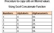Procedimiento para copiar celdas a filtra valores utilizando la función concatenar de Excel