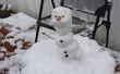 Olaf hacer de congelados