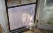 Fácil, barato perrito puerta en una puerta de pantalla