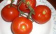 Haz una más grande, más dulce, cultivo anterior de tomates