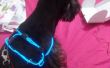 Collar fluorescente para perros (perro de TRON)