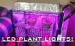 LED Grow luz para plantas de interior por 30 $! Fácil! 