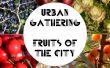 Encuentro urbano - frutas de la ciudad