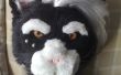 Hacer un Animal cabeza de la mascota (fursuits)