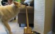 Interruptor de la lámpara DIY para perros