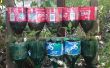 Jardín de la hierba de la botella – un proyecto de reciclaje. 