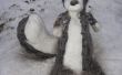 Skunk de la nieve: Ramone Colonia
