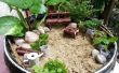 BRICOLAJE jardín miniatura